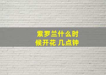 紫罗兰什么时候开花 几点钟